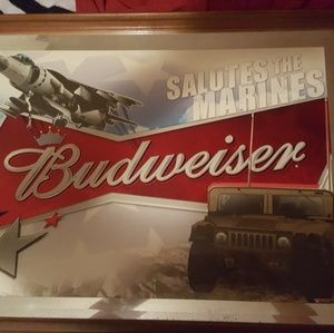 26 1/2×20 1/2 glass picture